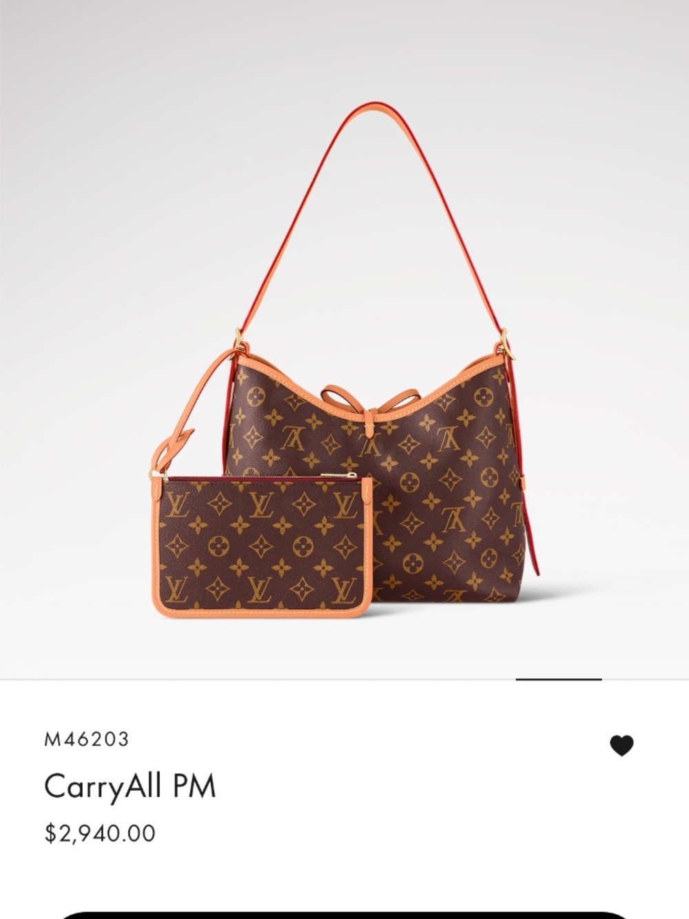 Louis Vuitton CarryAll PM shoulder bag 👜